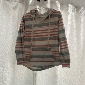 Southern spirit terrycloth hoodie